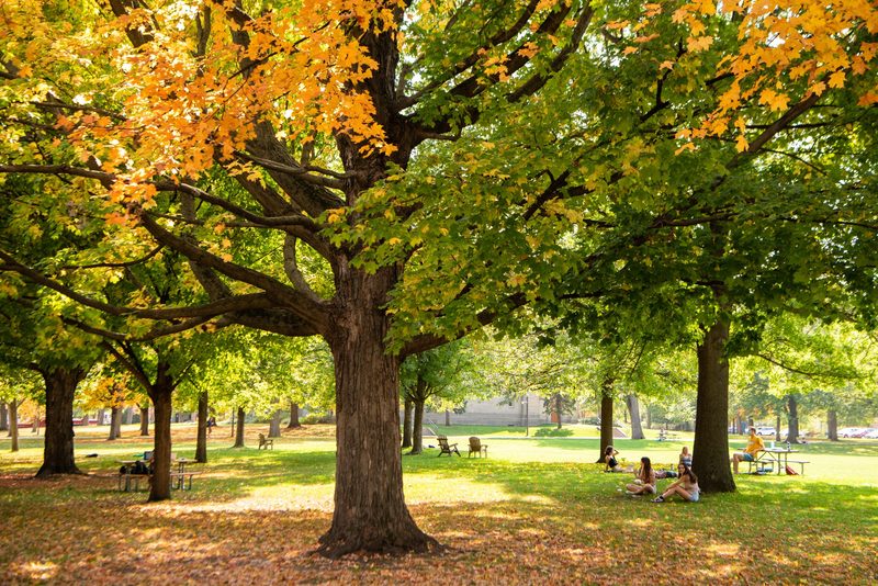 fall colors on campus