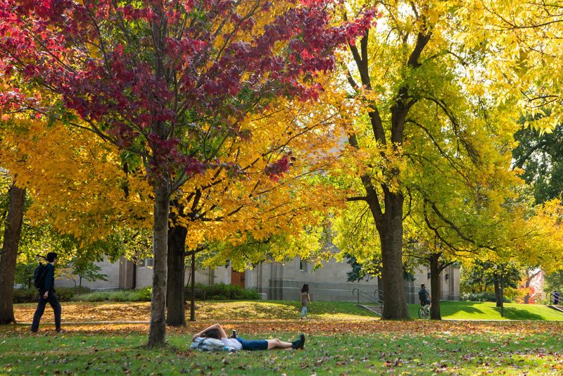 fall colors on campus