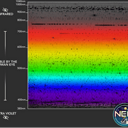 NEID’s spectroscopic observations of the Sun