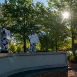 students dresses as cows dance on the Carleton sign to welcome new students to campus