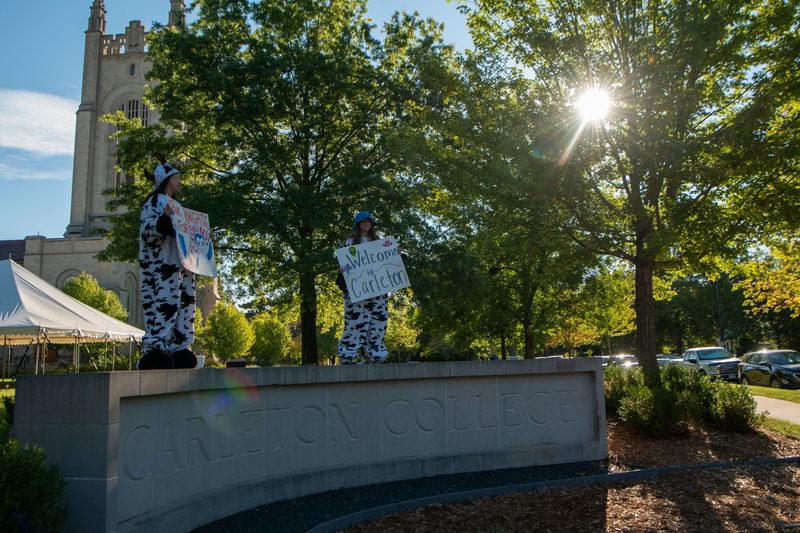 students dresses as cows dance on the Carleton sign to welcome new students to campus