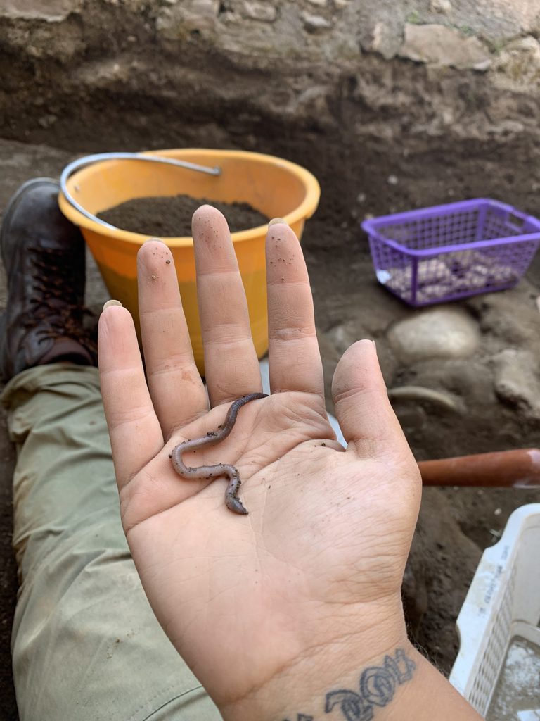 A worm crawls across a student's palm while they excavate in Pompeii.