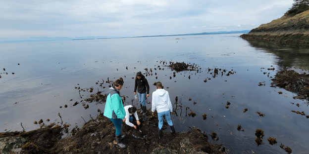 Students explore Dead Man’s Bay in Washington state during low tide.