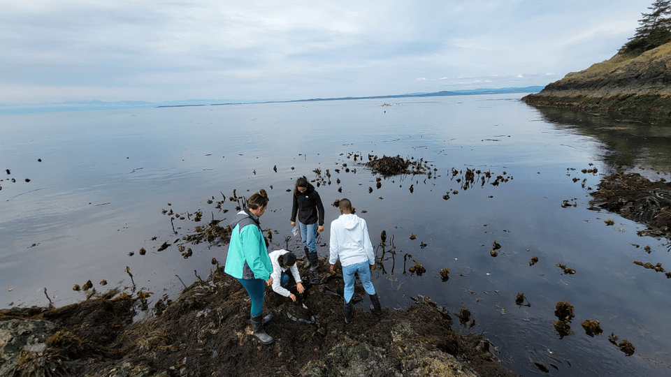Students explore Dead Man’s Bay in Washington state during low tide.