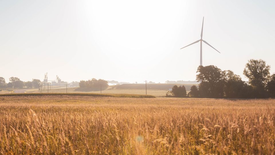Wide shot of a wind turbine in the distance, with golden prairie grass in the foreground.