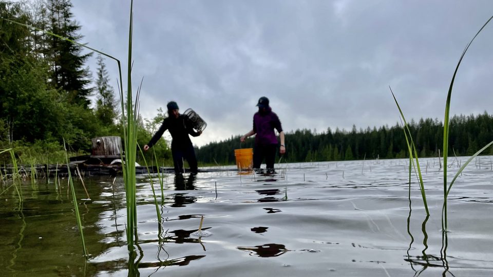 Photo taken from just above the water level of two people collecting things in buckets.
