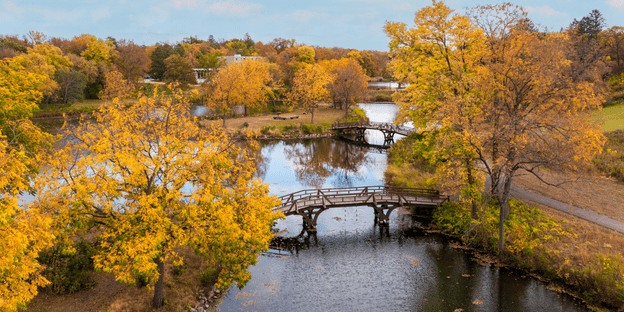 Lyman Lakes surrounded by yellow-leaved trees, focusing on the bridges that span the water.