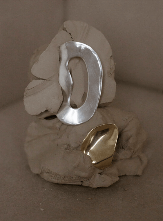 a pair of metal ovoid pieces of jewelry