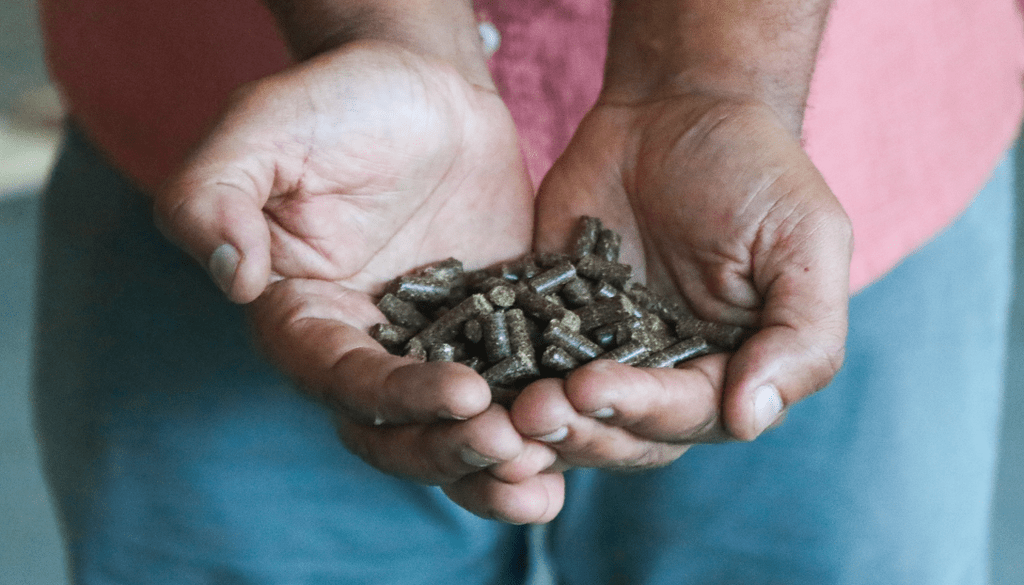 A pair of hands hold up handfuls of fuel pellets to the camera.