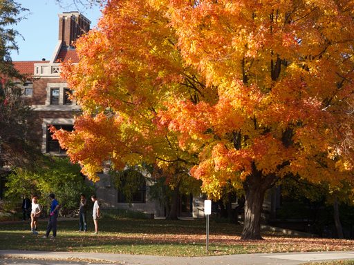 Fall at Carleton