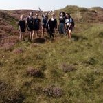 Heather on the Texel island, the Netherlands
