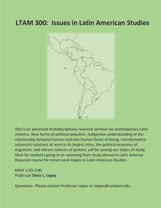 LTAM 300