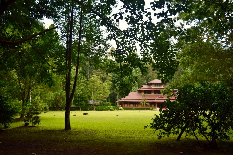 The grounds of Wat Tam Doi Toan