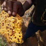 Honeycomb harvested from a baobab tree