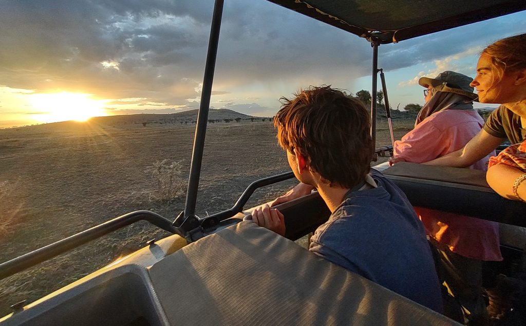 Setting sun over the savanna