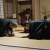 Introduction to Ogasawara-ryū Reihō