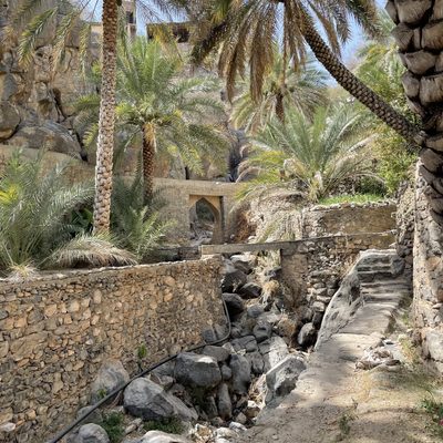 Palm Trees and Stone Walls Africa & Arabia