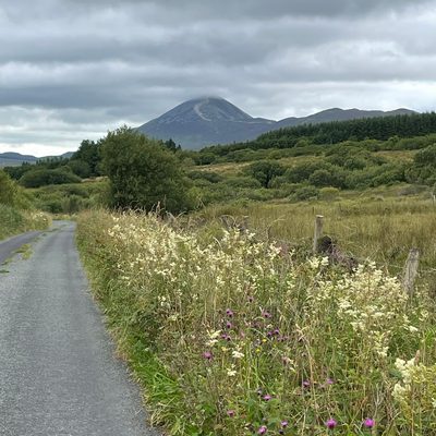 road with prairie flowers and hill in the background