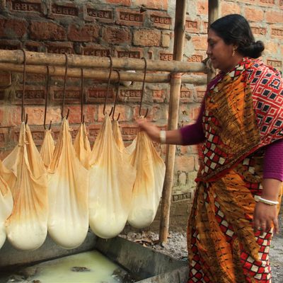 dairy-production in Bangladesh