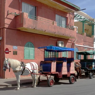 Horse-Drawn Carriages Senegal