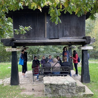 Students chatting under