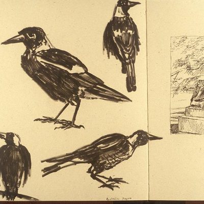 Student art and photos from the Studio Art in the South Pacific Program