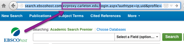 Identifying the EZProxy section of a proxified URL.