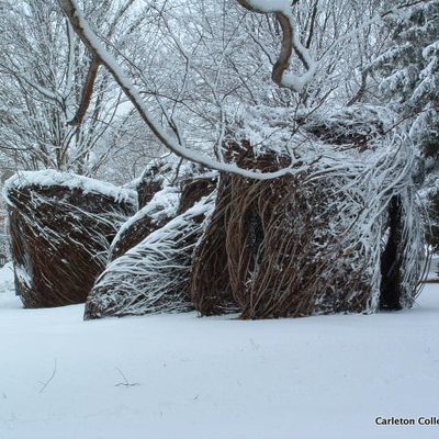 A photograph of Twigonometry in the winter of 2004.