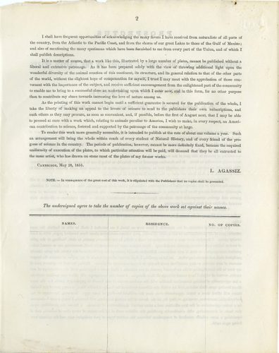 Prospectus page 2