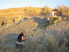 Geology Field Research