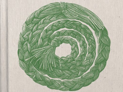 Braiding Sweetgrass book cover