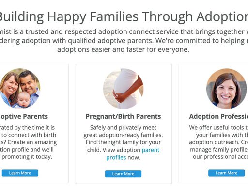 screenshot of Happy Families Through Adoption website