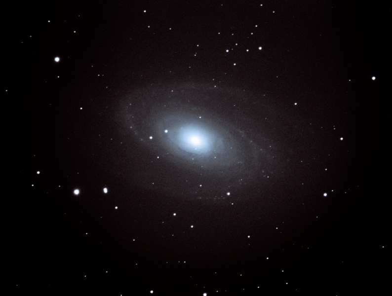Bode's Galaxy (M81)