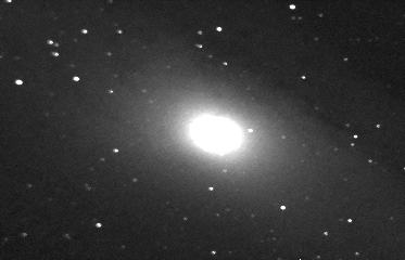 M31