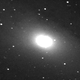 M31
