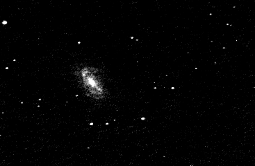 NGC 2903: Spiral Galaxy in Leo