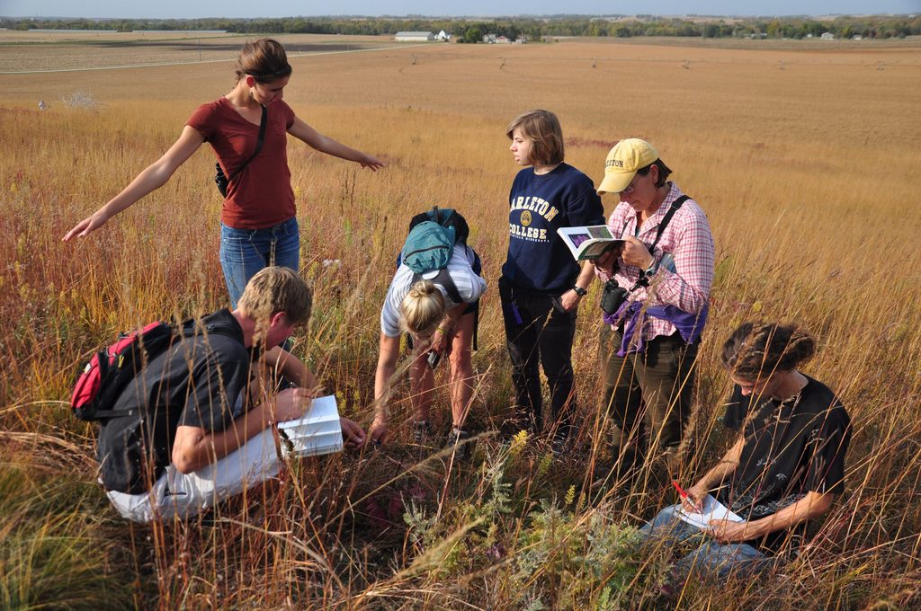 Student Naturalists examining gopher holes in the McKnight Prairie.