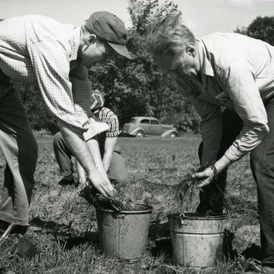 Tree Planting from the Cowling Arboretum Archives