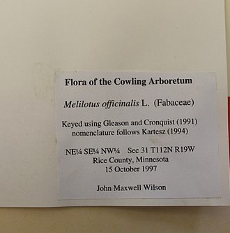 Close up of herbarium specimen label