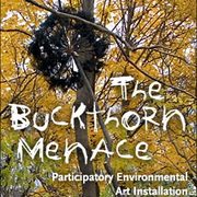 The Buckthorn Menace: Participatory Environmental Art Installation