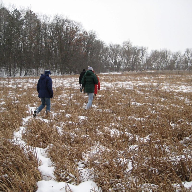 Kettle Hole Marsh 10,000 Years in the Making Cowling Arboretum