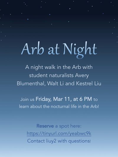Arboretum at Night event poster