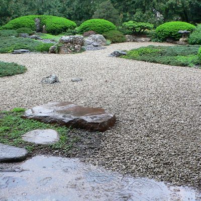 Japanese Garden in the Rain