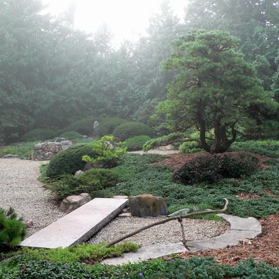 Japanese Garden in the Fog