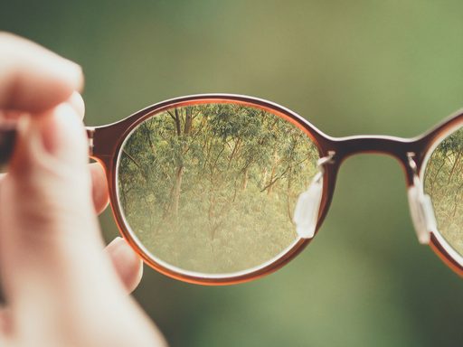 Trees seen through an eyeglass lens