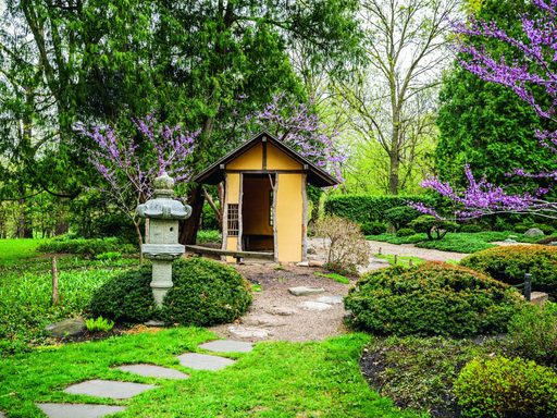 Japanese garden