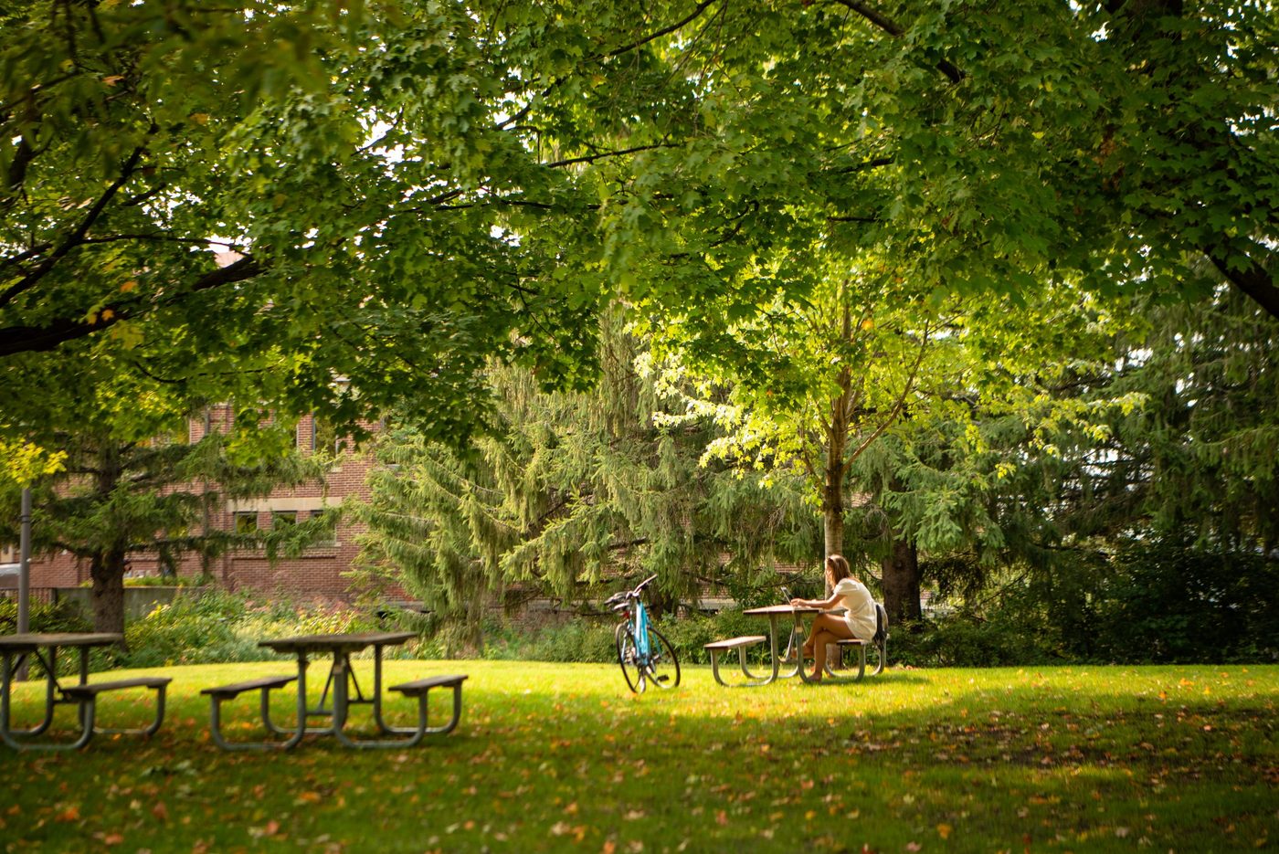 A student studies on campus