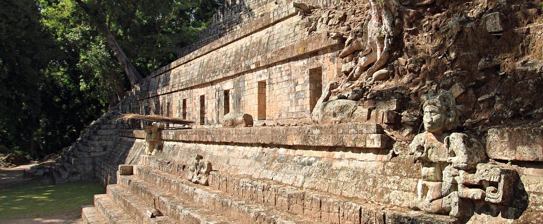 Jungle Kingdoms of the Anicient Maya