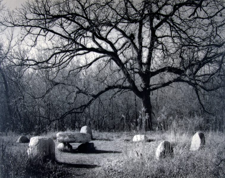 Beth Dow