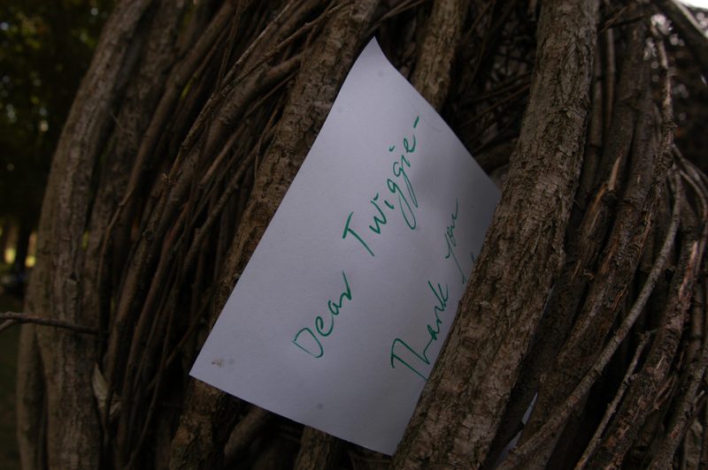 Dear Twiggie